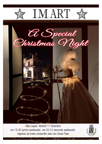 A Special Christmas Night