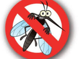 Ordinanza  per la prevenzione  e controllo delle malattie trasmesse da insetti vettori ed in particolare dalla zanzara tigre