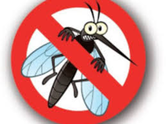 Ordinanza prevenzione malattie da insetti vettori e zanzara tigre